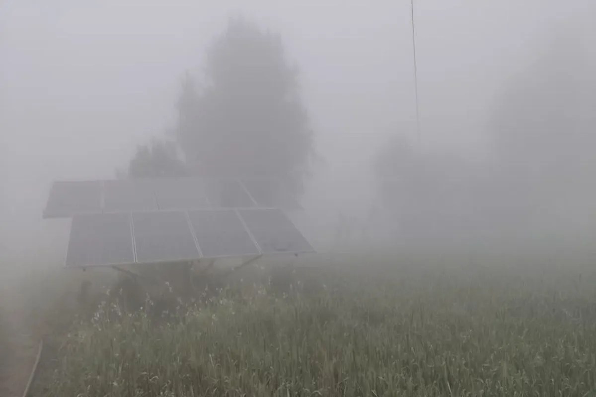 कोहरे की चादर में लिपटा बस्सी अंचल, हाइवे पर थमी रफ्तार