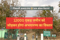 kheoni wildlife sanctuary expansion tiger corridor dewas MP News