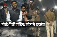 Cow Death In Shahdol