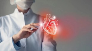 Heart structure
