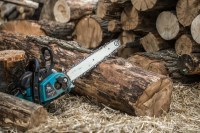 trees cutting bhopal metro blue line mp high court ban mp news