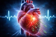 human hearts