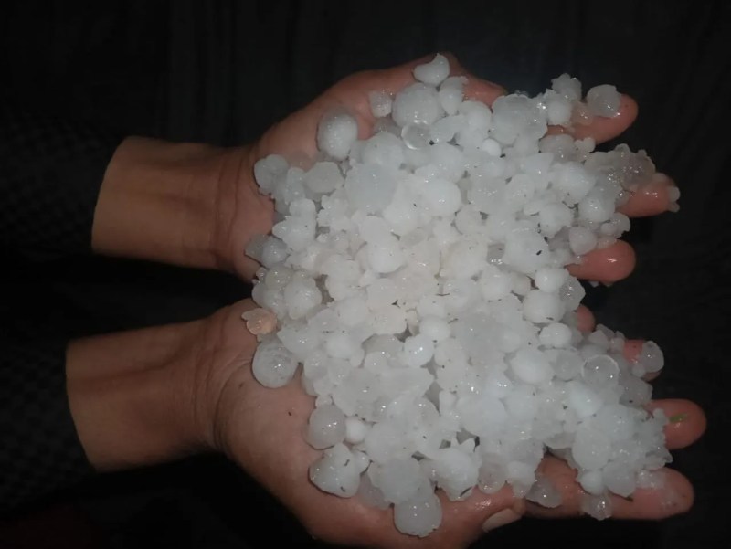 रिपोर्ट बनी लेकिन 8 माह से विभाग तक नहीं पहुंची