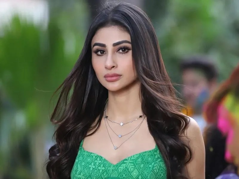 Mouni Roy Calls Out Traumatizing Harassment On Stage At Haryana Event