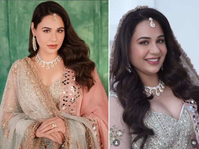Mandy Takhar Shekhar Kaushal Divorce