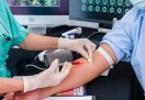 Girl dies in Damoh after receiving an injection for a mild fever