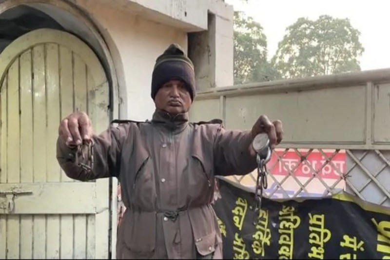 jiwaji university gwalior