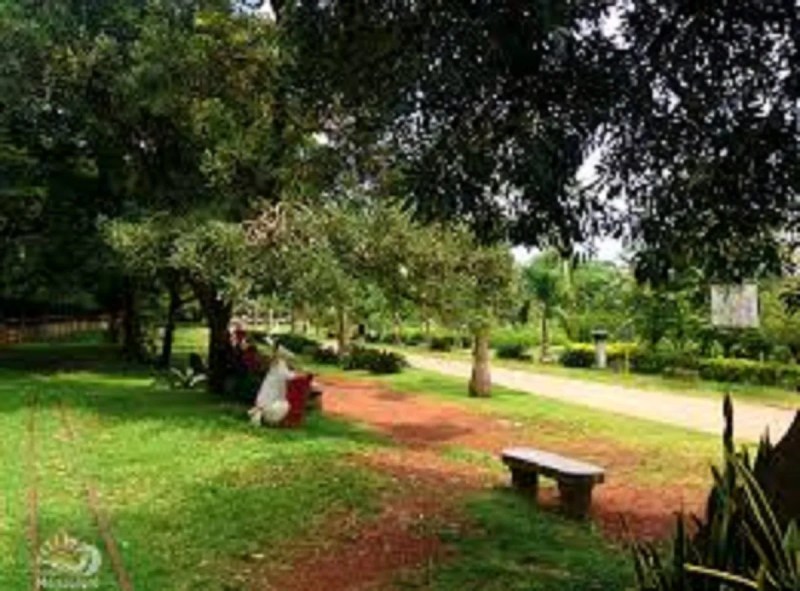 हरियाली, बच्चों के खेल क्षेत्र, झील और फव्वारे की बदहाली पर जताई चिंता