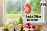 Healthy Kidneys Secret, Kidney Detox Foods, Kidney Care Tips, Healthy Lifestyle,