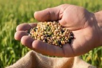 CG News: तिलहन उत्पादक कृषकों का पंजीयन शुरू, जानिए पूरी पंजीयन प्रक्रिया