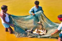 PM Dhan-Dhanya Krishi Yojana