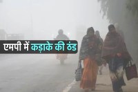 Cold Wave In MP