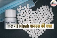 nipah virus treatment