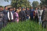 फोटो-पत्रिका