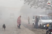 Weather Update Meteorological Department 12 January Rajasthan these districts fog and cold wave orange alert Know what 13 January weather