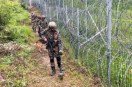 BSF