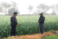 Breaking Ratlam cold wave news