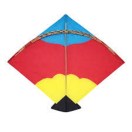 कर्नाटक में पतंग के घातक मांझे ने ली एक और जान