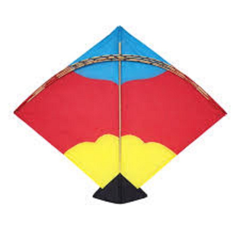 कर्नाटक में पतंग के घातक मांझे ने ली एक और जान