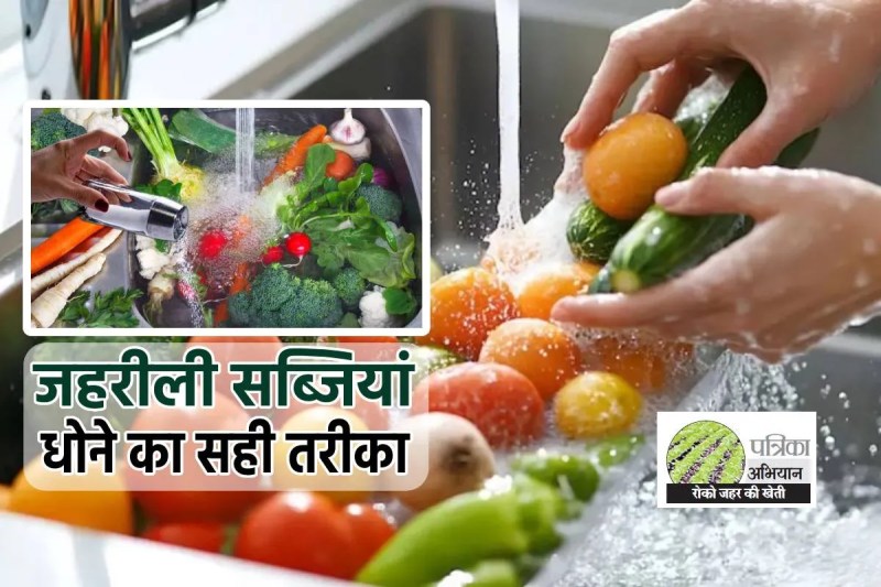 patrika zehar roko abhiyan