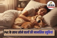 Sychology facts about pet owners, viral psychology facts, human animal bond psychology,