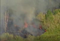 Plane crash in Australia