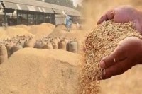 छत्तीसगढ़ में धान खरीदी में नया रिकॉर्ड,13 जनवरी तक 17.77 लाख किसानों के खातों में पहुंचा ₹23,448 करोड़*
