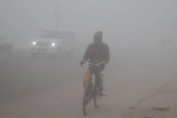 कोहरे को चीरते हुए रोजमर्रा के कामकाज पर निकलता शख्स।