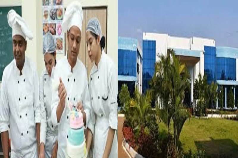 CG Job: छत्तीसगढ़ के युवाओं के लिए सुनहरा अवसर, हयात व ताज जैसे होटलों में मिलेगा काम करने का मौका, जल्दी करें आवेदन