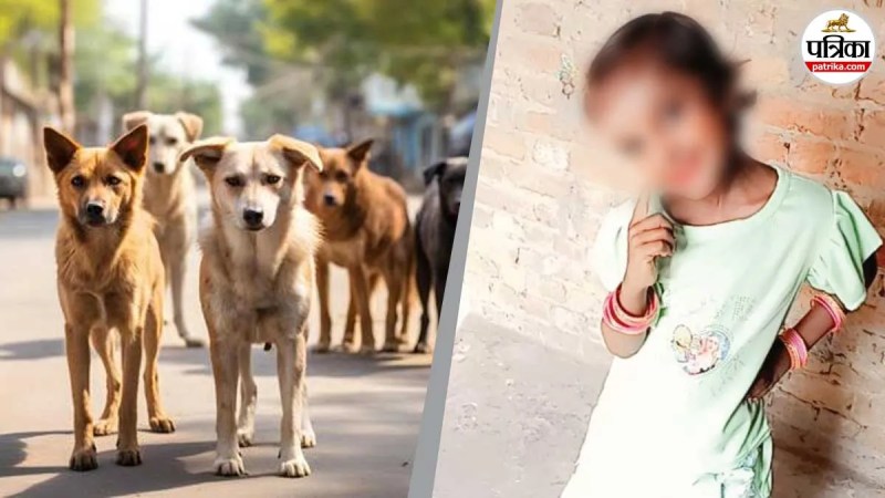 stray dogs kill 9 year old girl sambhal up