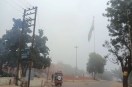 दोपहर डेढ बजे तक रहा कोहरा, दिन भर चलती रही ठंडी हवाएं