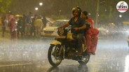 up weather rain fog alert 23 jan