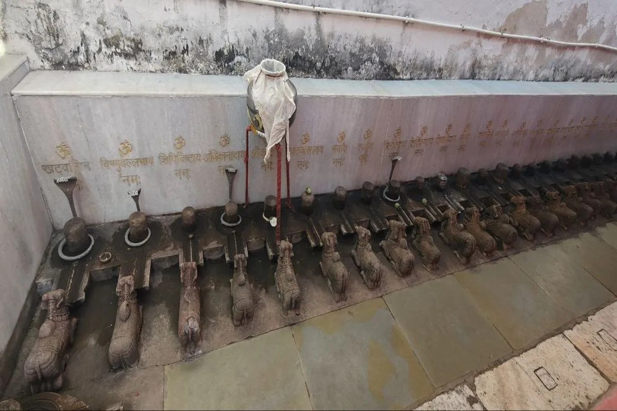 महाशिवरात्रि पर श्री रूद्राष्टकम के साथ करें शिव पूजा तो होगी मनोकामनापूर्ण