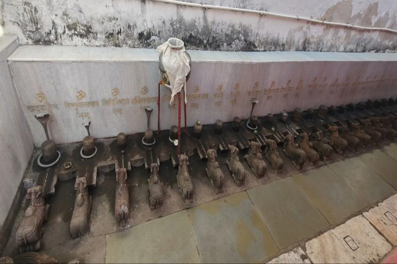 महाशिवरात्रि पर श्री रूद्राष्टकम के साथ करें शिव पूजा तो होगी मनोकामनापूर्ण