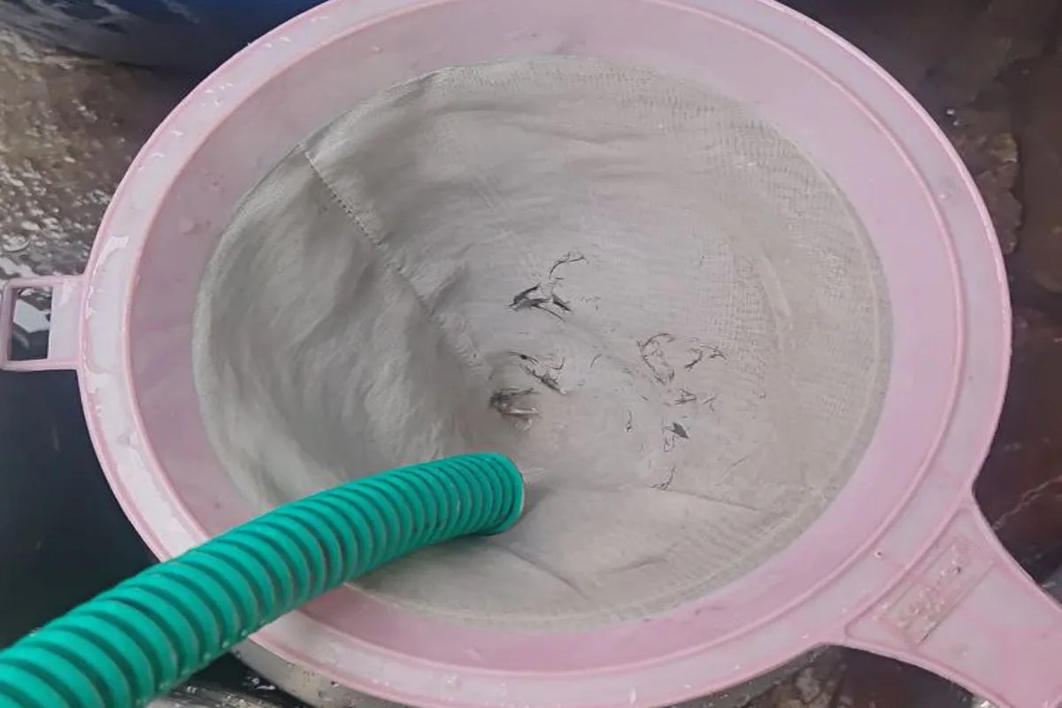 पानी के साथ आ रहे पक्षियों के पंख, फोटो सोशल मीडिया पर डाली