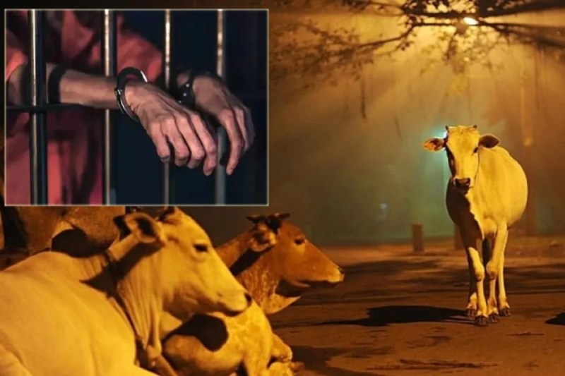 दरोगा की पिस्टल छीनकर की फायरिंग, जवाबी कार्रवाई में पैर में लगी गोली ( सांकेतिक तस्वीर )