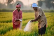 साथी पोर्टल से नकली बीजों पर सख्ती, अब QR कोड से मिलेगी पूरी गुणवत्ता जानकारी (फोटो सोर्स : WhatsApp News Group)