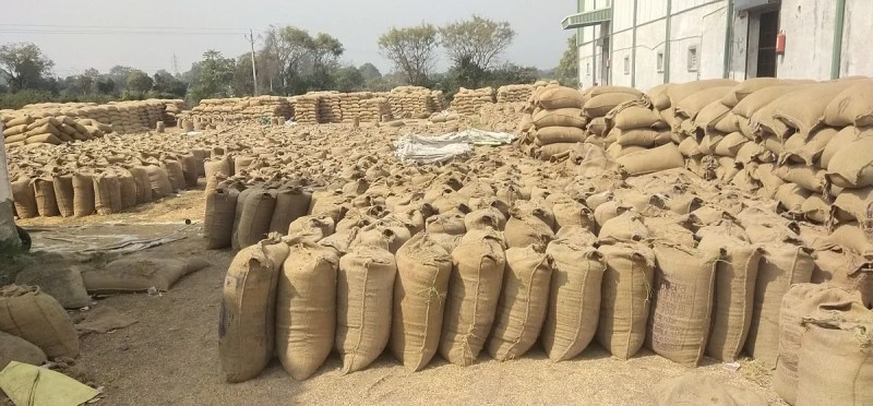 paddy transportation remains incomplete