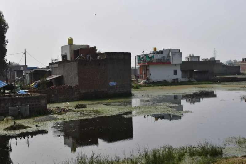 मुठभेड़ के बाद मुकदमा दर्ज कर कार्रवाई करते हुए कोर्ट में चालान पेश किया गया। इसी प्रकरण में लंबी न्यायिक प्रक्रिया एवं साक्ष्यों के परीक्षण के बाद डकैती कोर्ट के न्यायाधीश राकेश गोयल ने मामले में दोषी मानते हुए डकैत केदार गुर्जर पुत्र फेरन गुर्जर निवासी भोला का पुरा बाड़ी को 10 साल के कठोर कारावास की सजा सुनाई है। साथ ही उसे 10 हजार रुपए के अर्थदंड से दंडित किया है। वहीं अर्थदंड की राशि अदा नहीं करने पर 1 वर्ष का अतिरिक्त कारावास और भुगतना पड़ेगा। Dacoit Kedar Gurjar sentenced to 10 years rigorous imprisonment