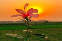 बदलेगा मौसम का मिज़ाज: शीतलहर में कमी, तापमान रहेगा सामान्य से अधिक (फोटो सोर्स : WhatsApp News Group)