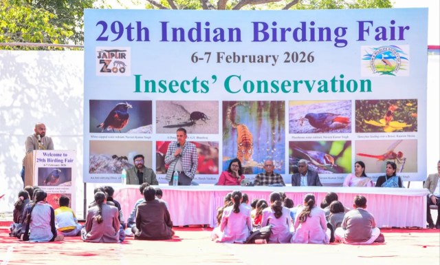 Jaipur bird fair 