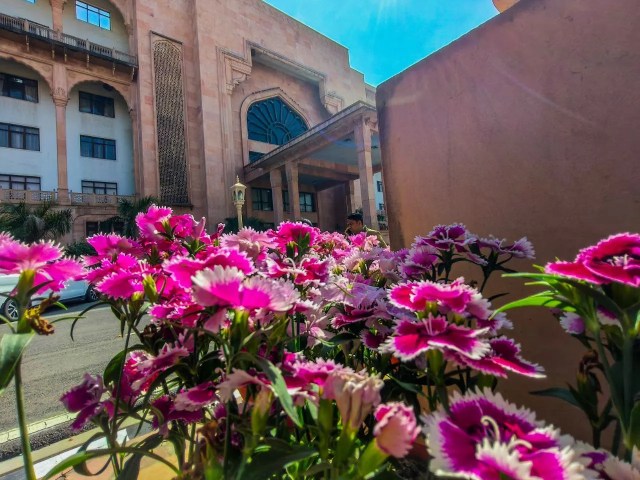 Budget session in rajasthan vidhansabha 