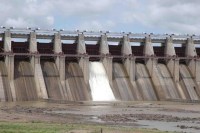 No compensation was received in the Bansagar project