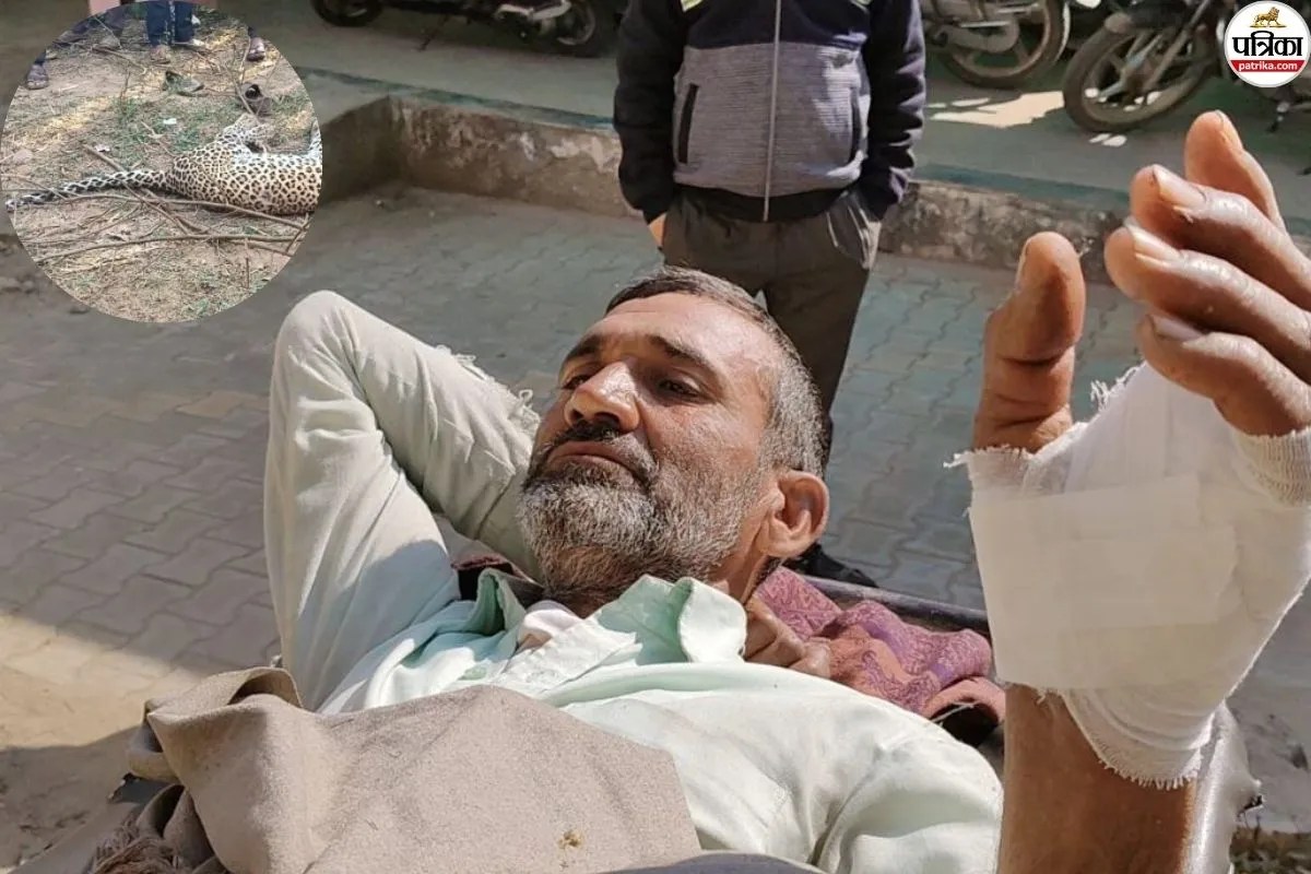 Alwar News Man and Panther in Fierce Face-Off Both