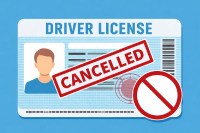 traffic crackdown driving license cancel vehicle seizure jabalpur mp news