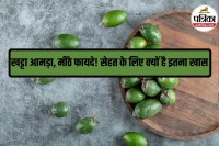 Vitamin C, Ambada for stomach health, seasonal fruits benefits,