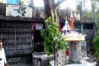 Ayush Wing News Ratlam