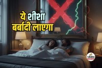 Bedroom Mirror Vastu Dosha