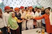 Bhilawar Mayra