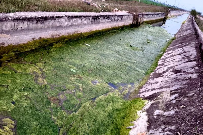 Bundi : फसलों को पानी की जरूरत, अभियंता नहीं दे रहे ध्यान